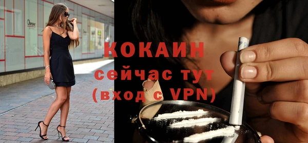 сатива Волосово