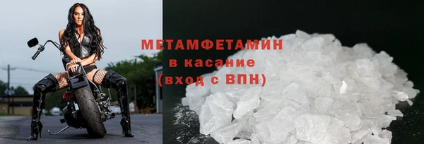 сатива Волосово