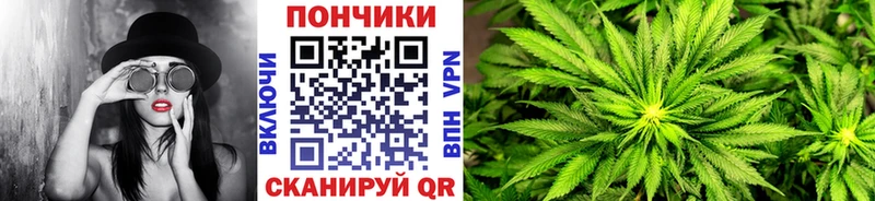 Канабис Amnesia  как найти   Зубцов 